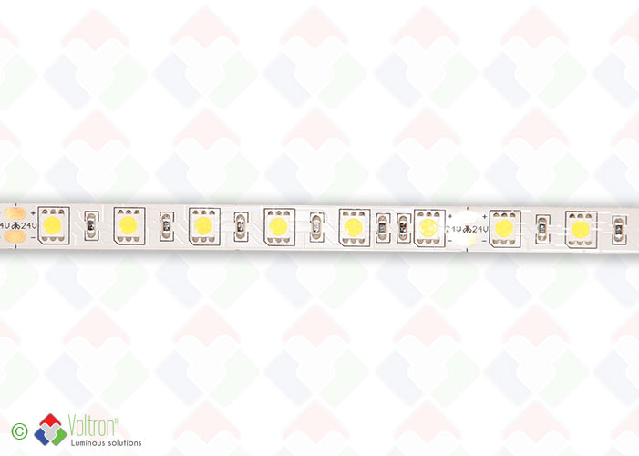 Led strip 60 led per meter SMD5050 - PREMIUM VERSION/PV-5050-60-DW-20-24V by Voltron Lighting Group